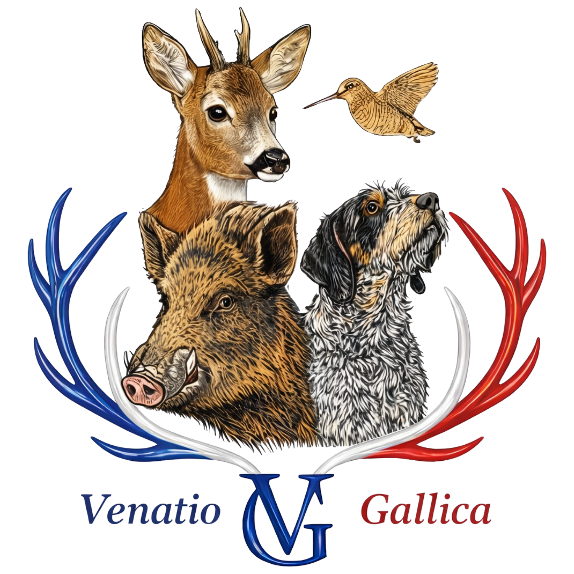 Venatio Gallica